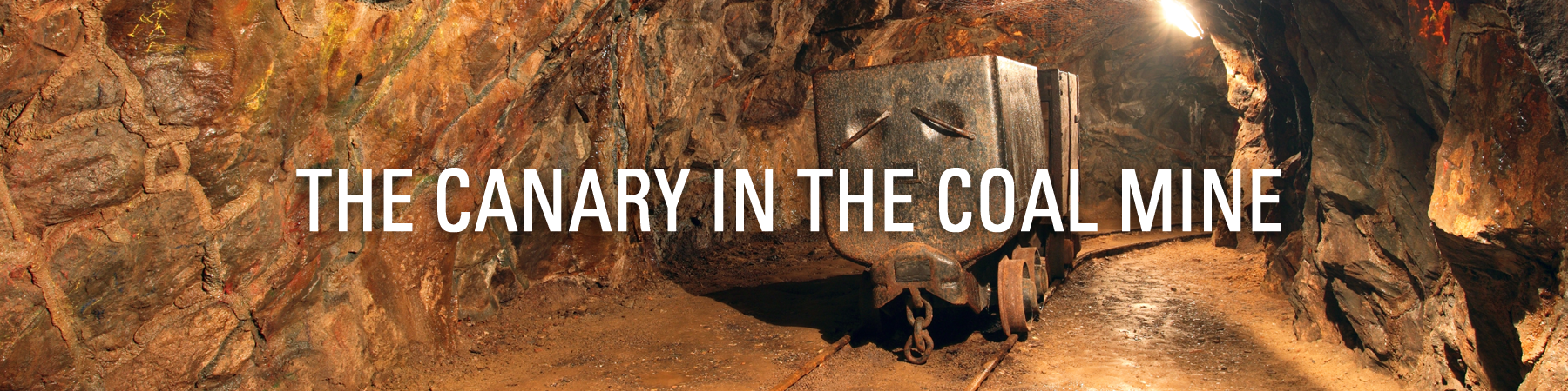 The Canary in The Coal Mine