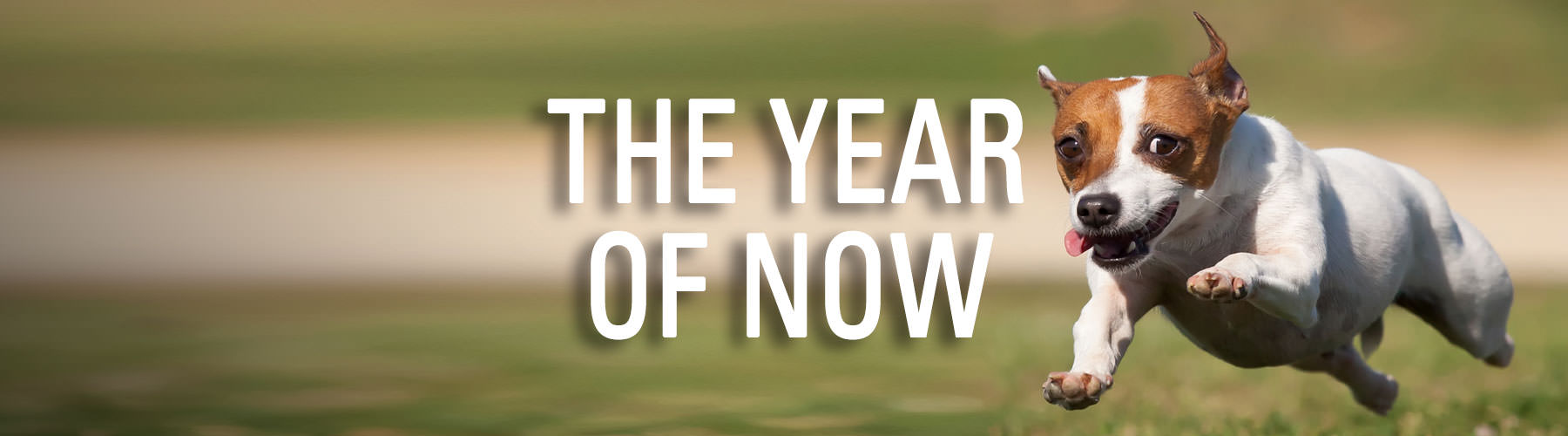 The Year of Now